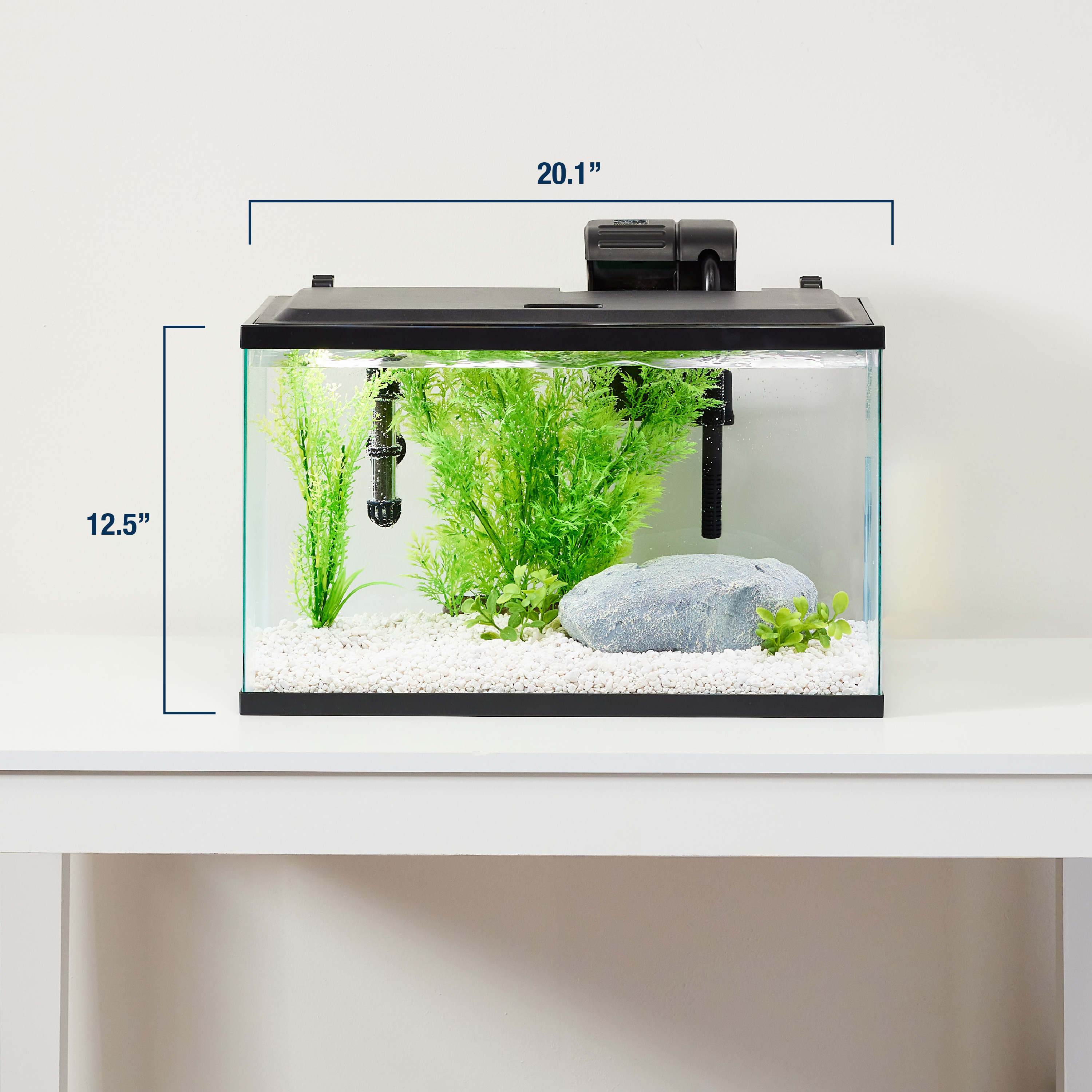 Tetra STEM 10 Gallon Aquarium Kit With Hands On Activity Guide Helps Kids Learn The Science Behind Fishkeeping Tetra